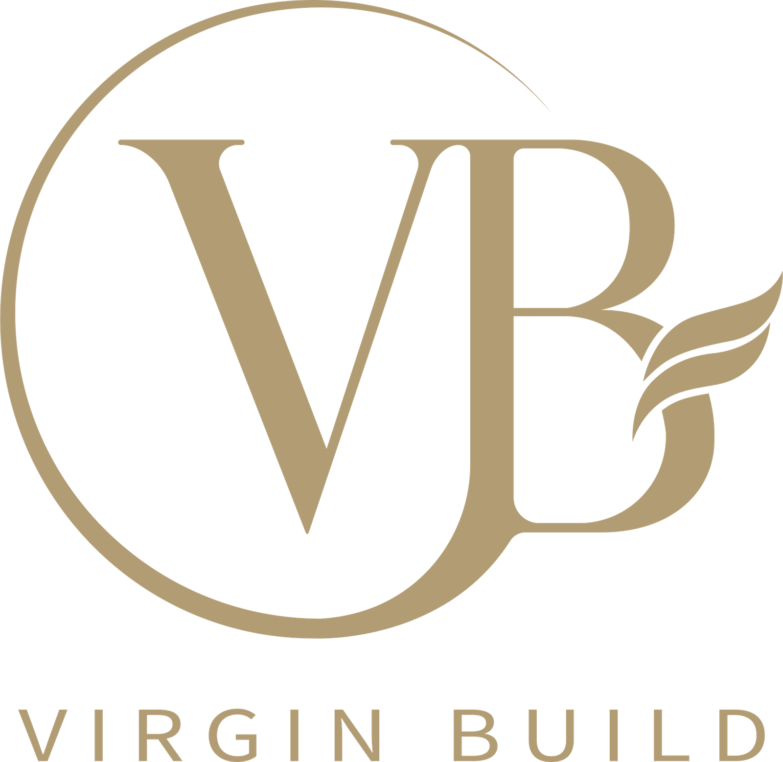 VINGIN BIULD